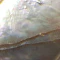 Abalone Shell Teardrop Necklace - Image 6