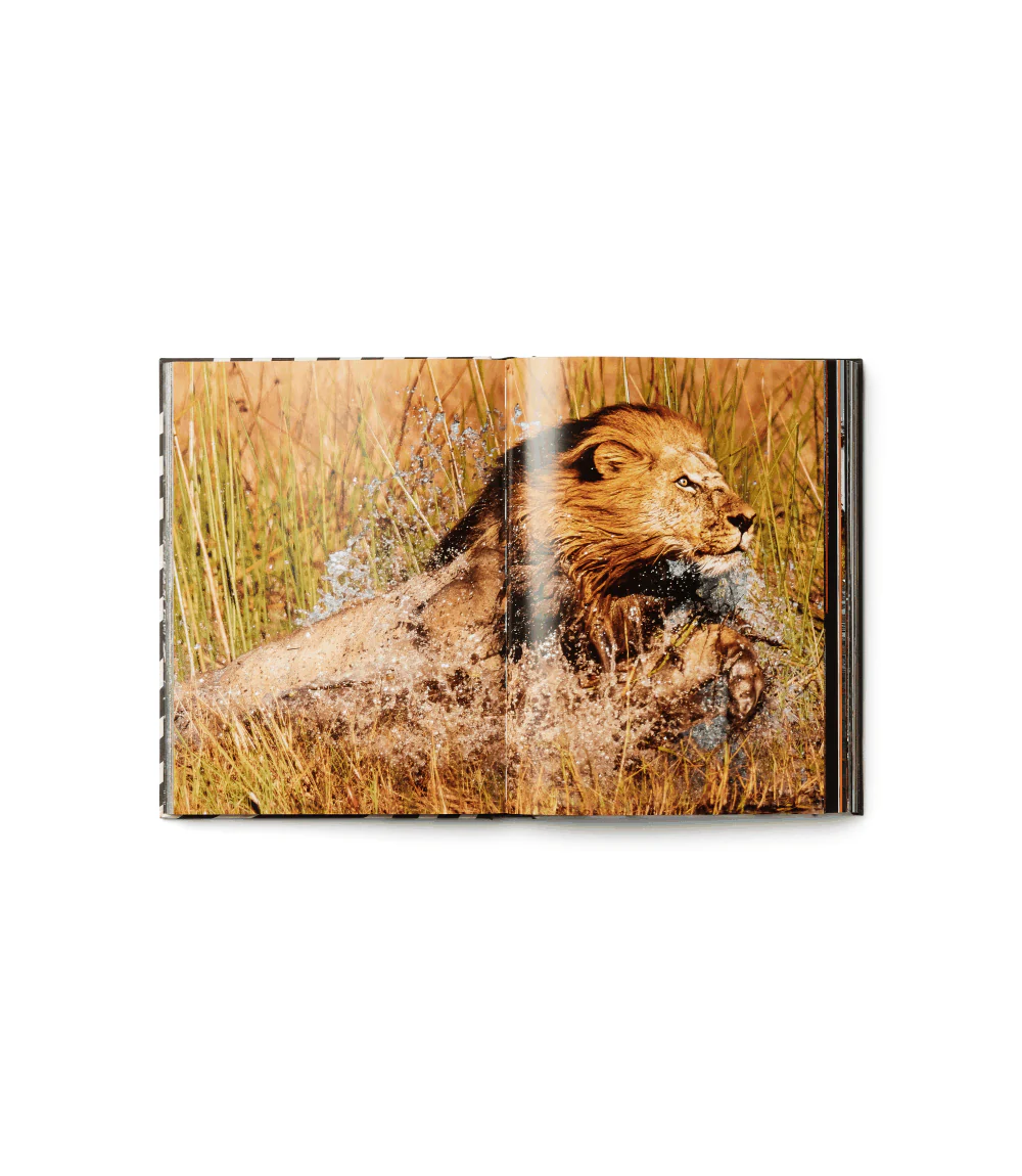 African Adventures - Image 5