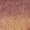 Amercan Icons - Image 7
