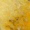 Beaded Necklace - Image 10