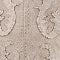 Billini Tulie Boots - Image 22