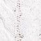 Cable Knit Sweater - Image 8
