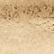 Crystal Starburst Bangle Bracelet - Image 4