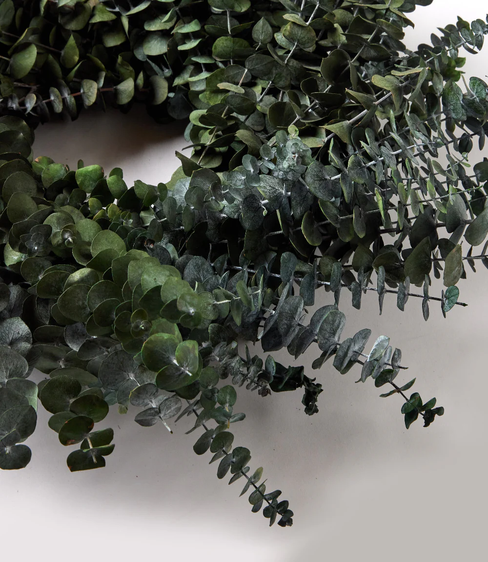 Eucalyptus Wreath - Image 6