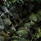 Eucalyptus Wreath - Image 9
