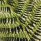 Fern Polished Marble Coasters, Set Of 4 - Image 8
