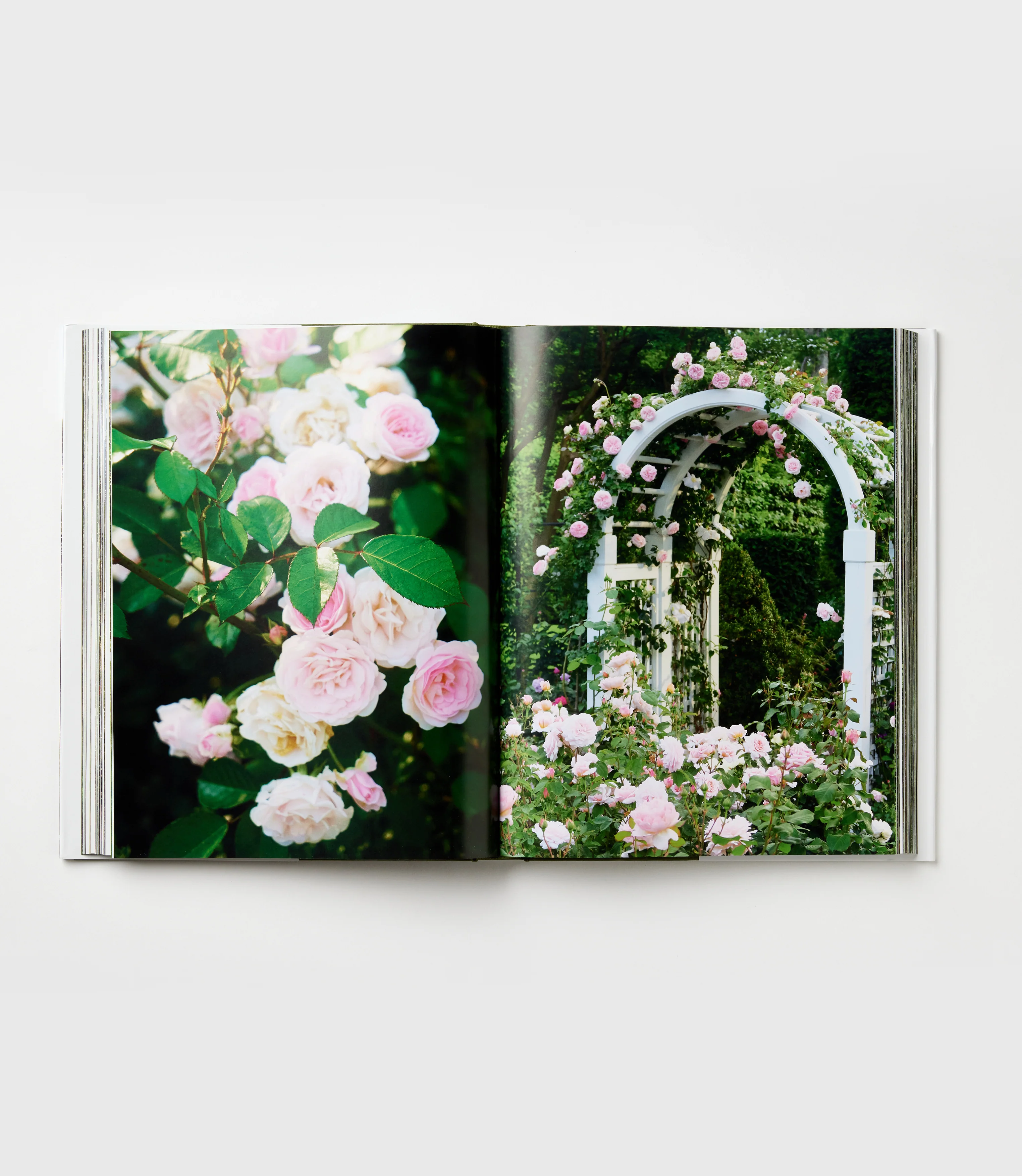 Glorious Gardens - Image 5