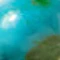 Kingman Turquoise & Spiny Oyster Beaded Necklace - Image 3
