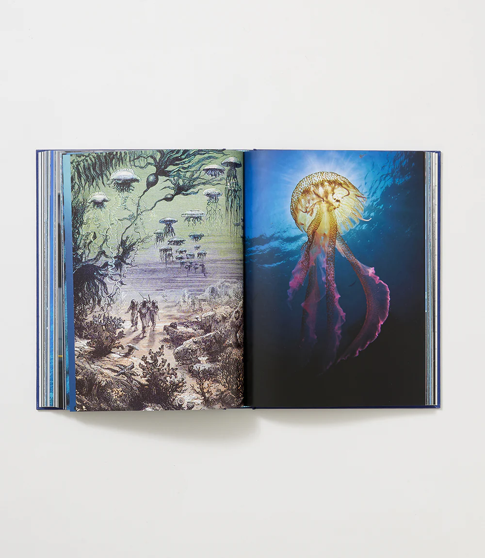 Ocean Wanderlust - Image 3
