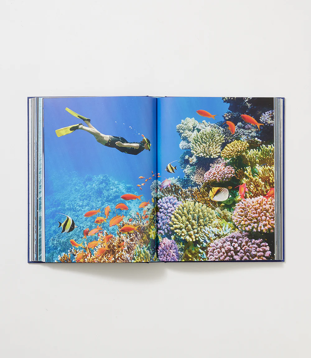 Ocean Wanderlust - Image 5