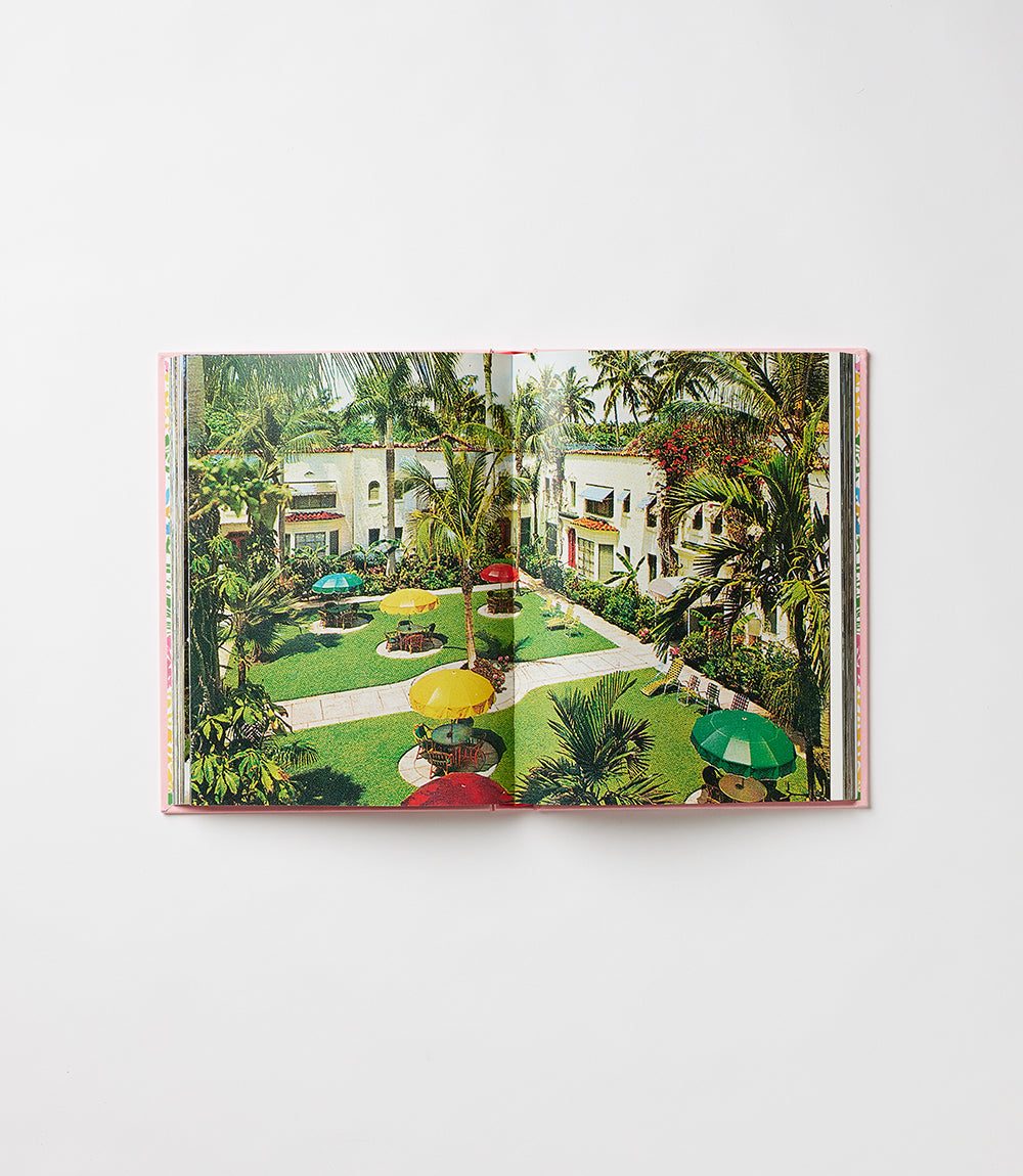 Palm Beach - Image 4