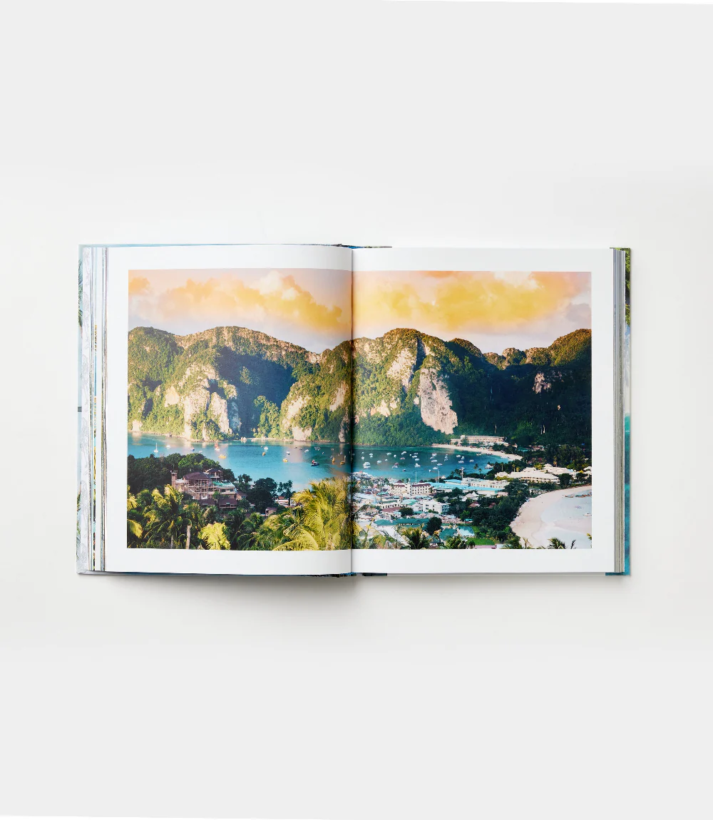 Palm Tree Destinations - Image 4