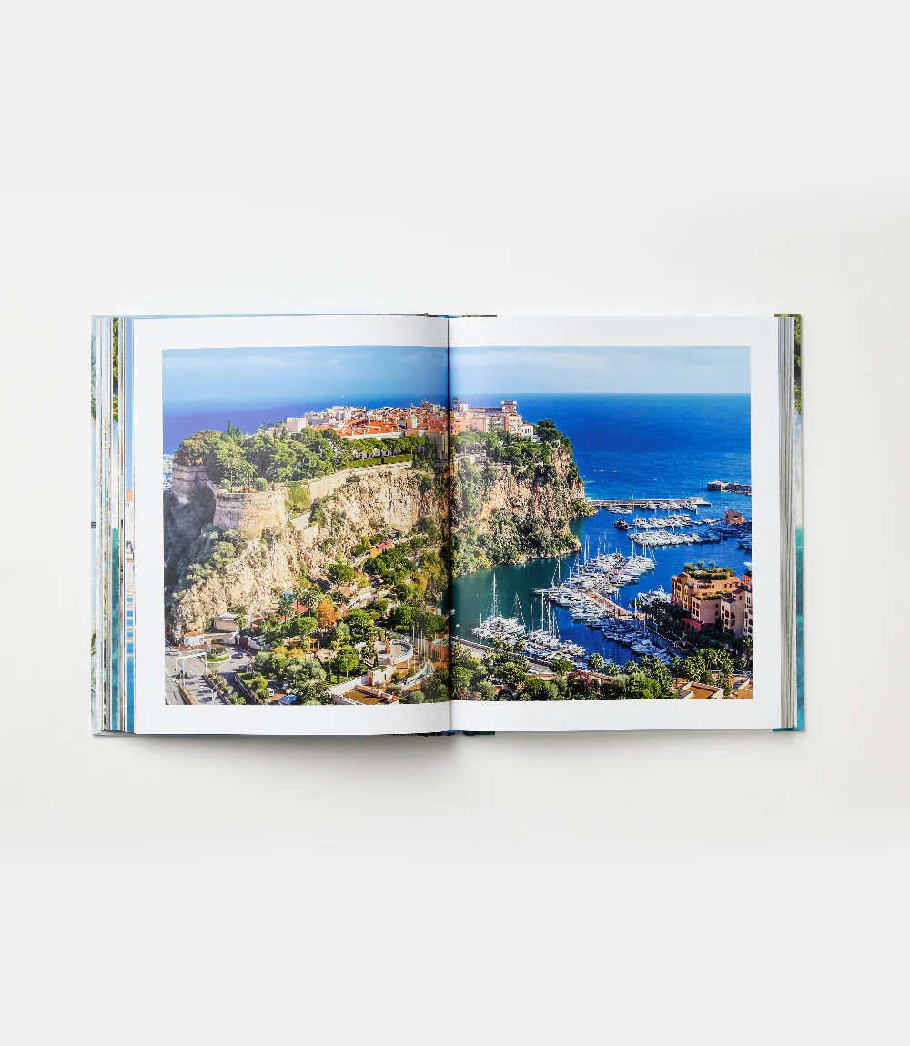 Palm Tree Destinations - Image 5