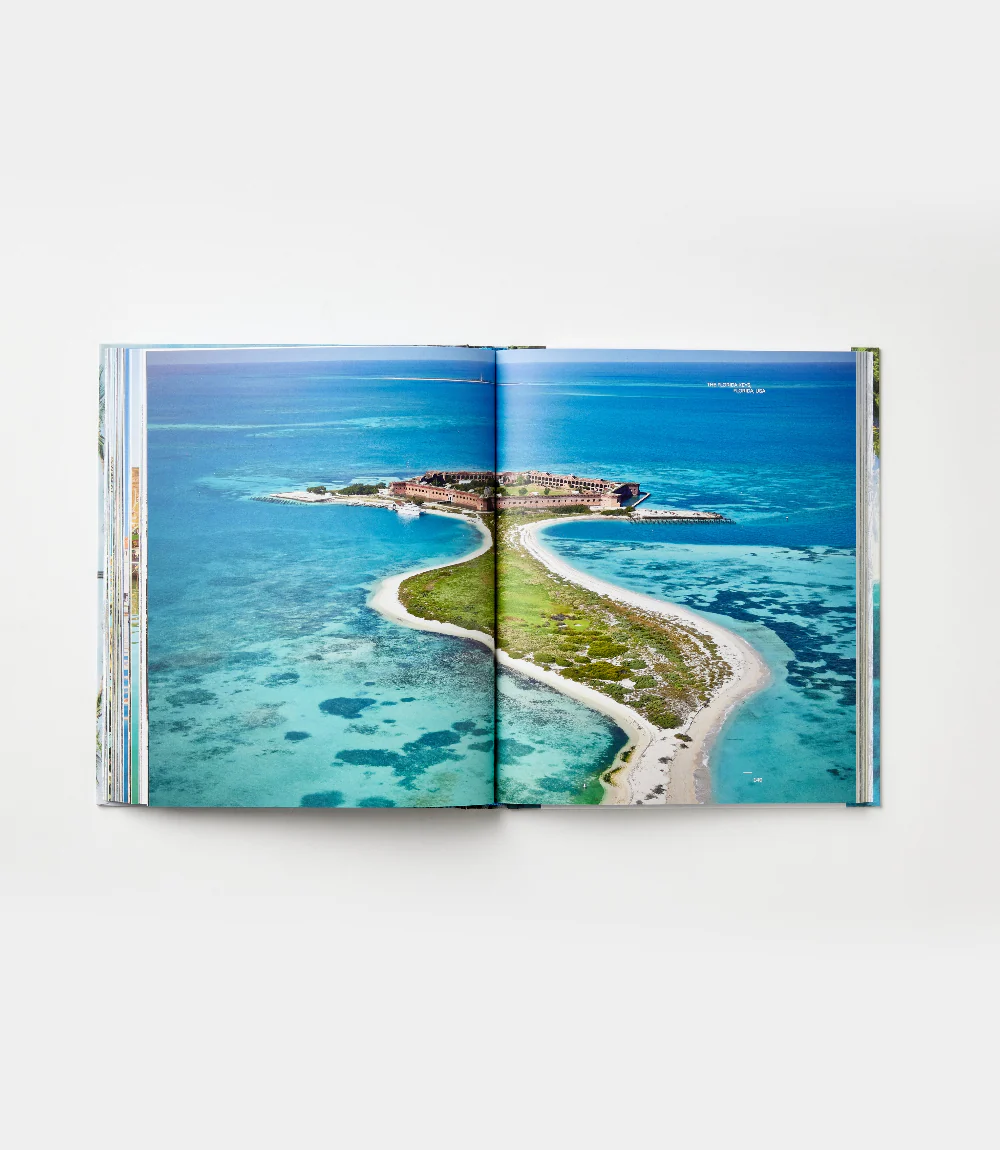 Palm Tree Destinations - Image 6