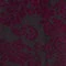 Petite Size Long Sleeve Velvet Burnout Shirttail Top - Image 5