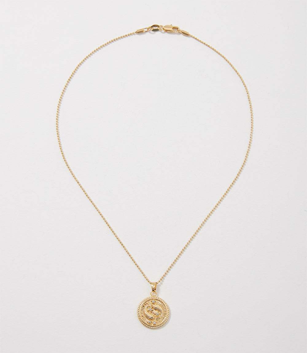 Pisces Coin Necklace - Image 3
