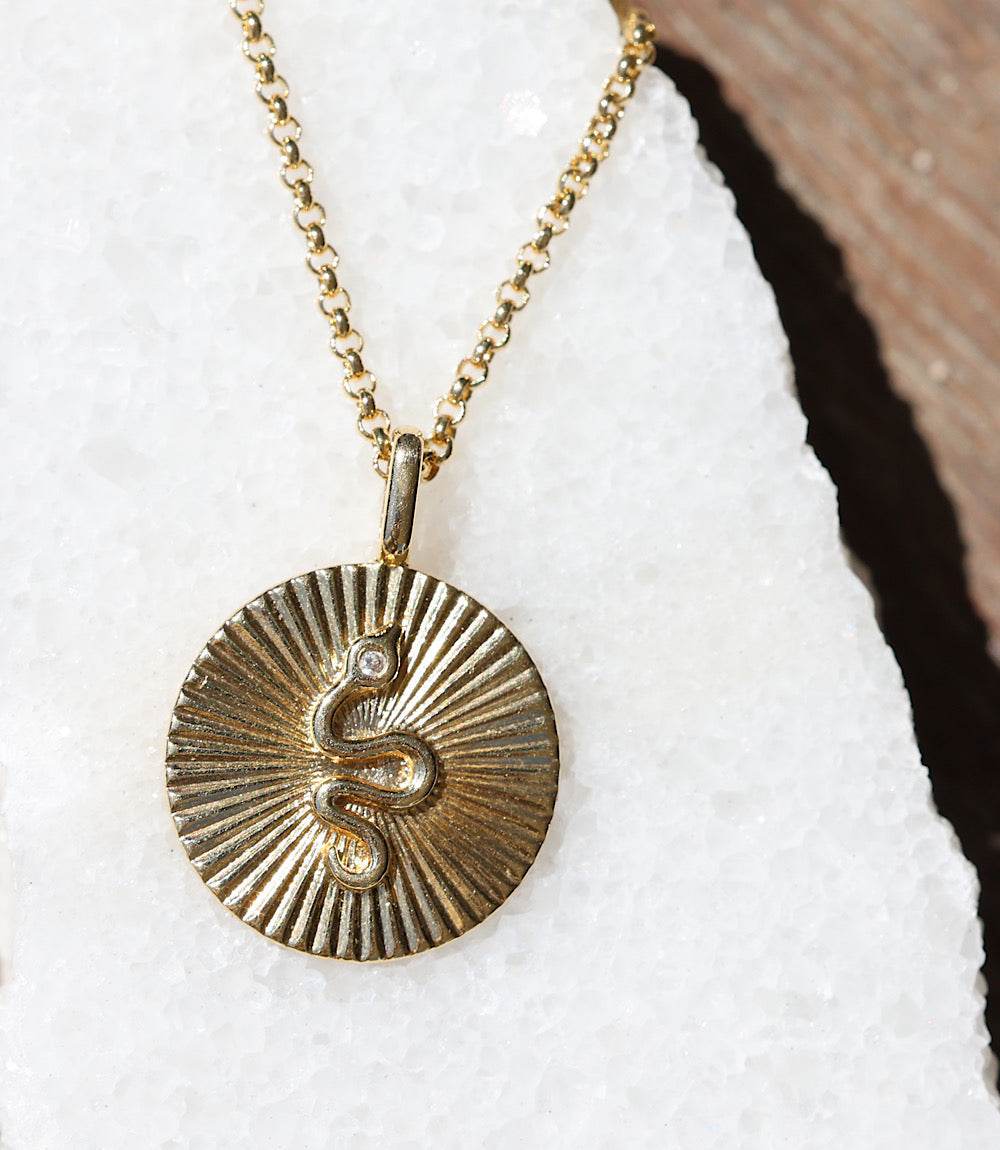 Snake Charm Necklace