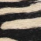 Seychelles In The Zone Gladiator Sandals - Image 8