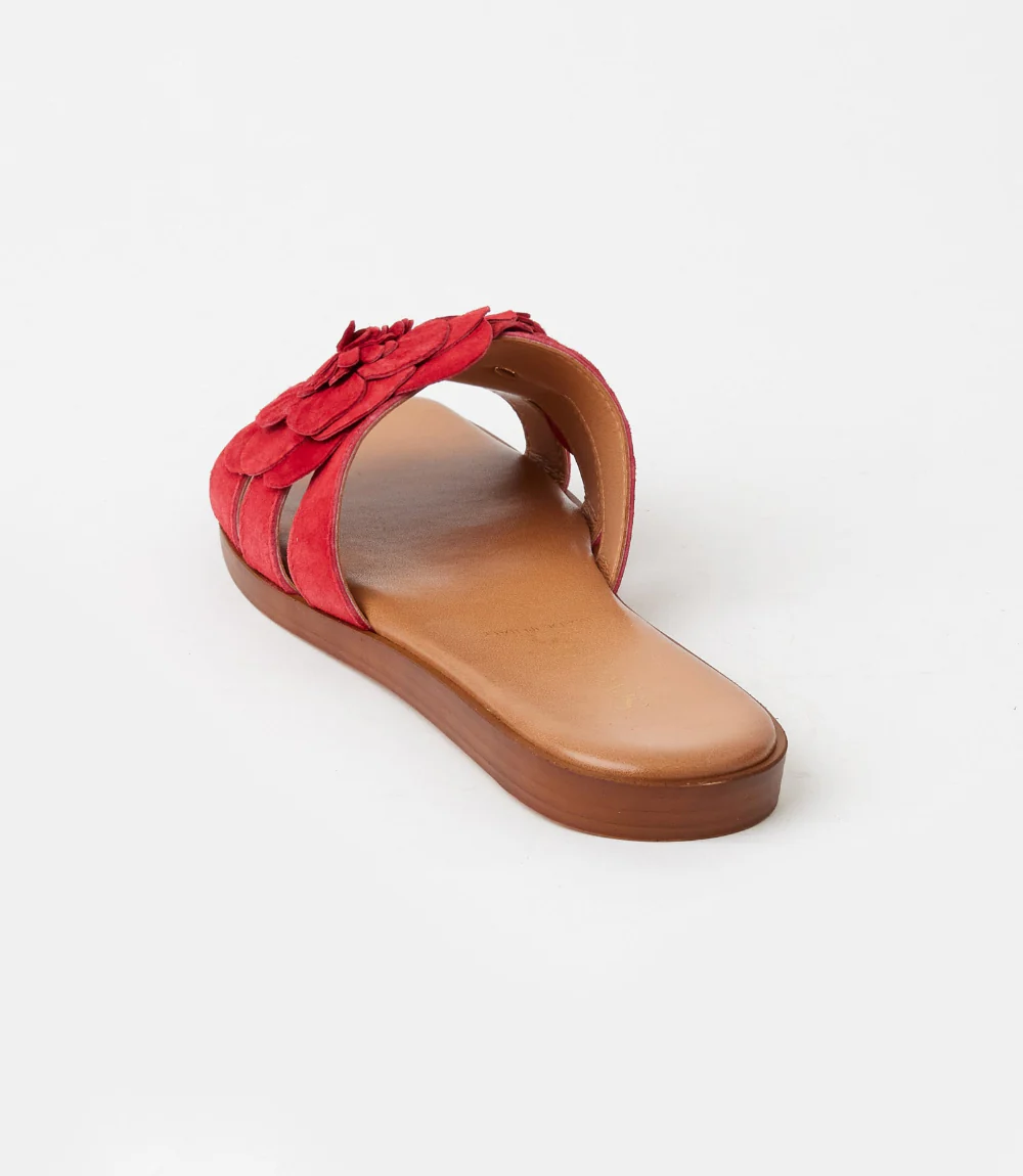 Seychelles Morning Dew Floral Slide Sandals - Image 7