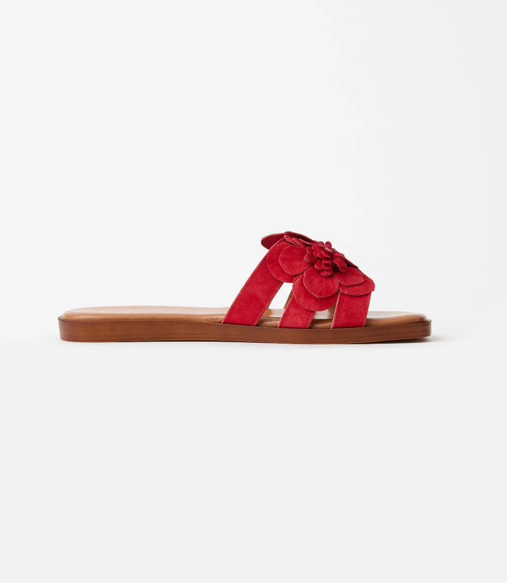 Seychelles Morning Dew Floral Slide Sandals - Image 8