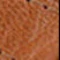 Seychelles Adapt 3 Woven High Heel Sandals - Image 9