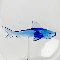 Shark Stemless Wine Glass - Image 8