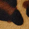 Streets Ahead Leopard Print Belt - Image 9