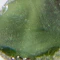 Venetian Dream Gemstone Necklace - Image 5