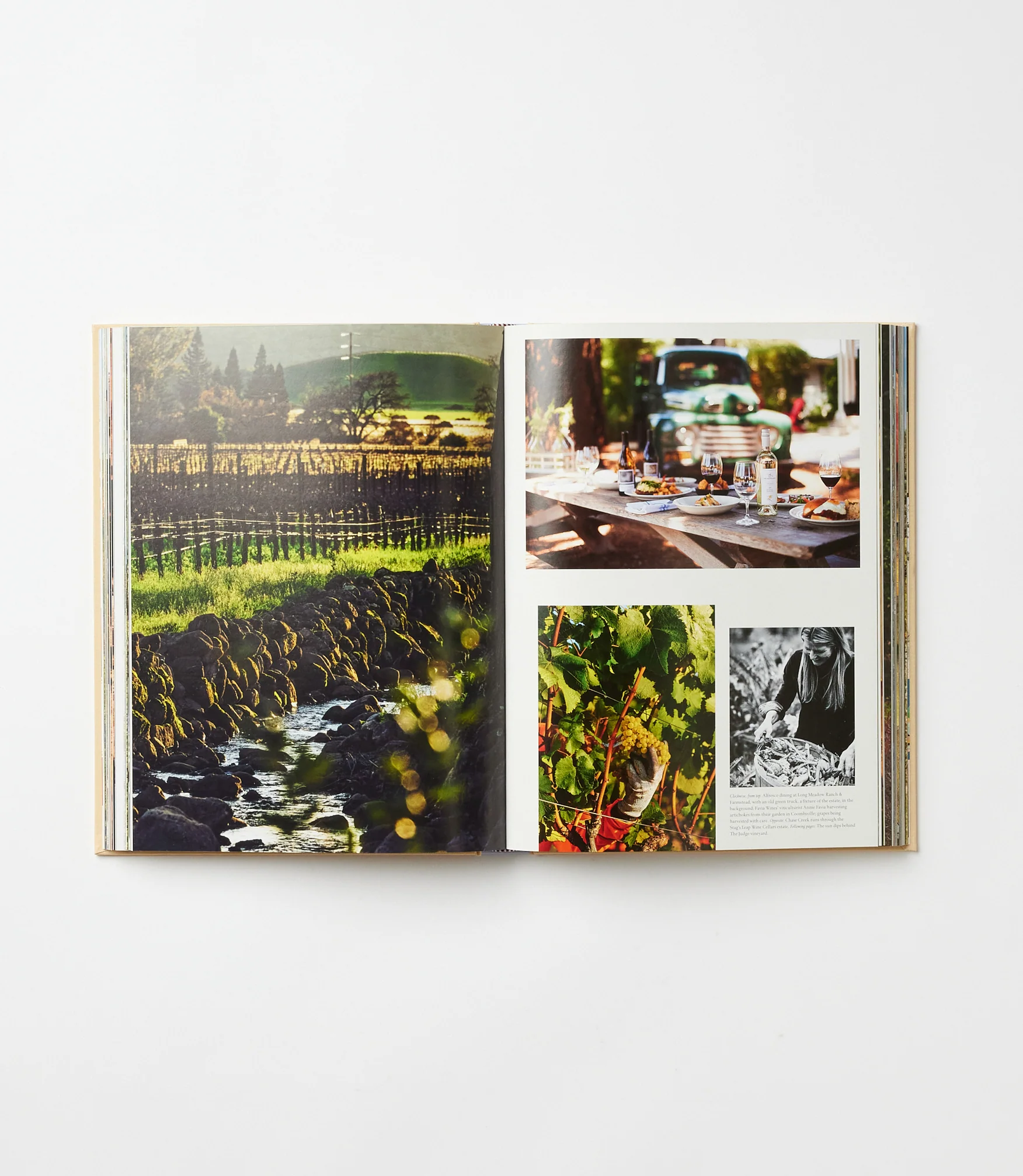 Wine & Travel: United States Of America - Image 5